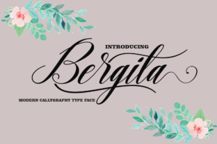 Bergita Font Review: The Perfect Handwritten Script