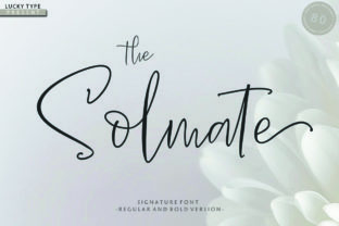 The Solmate Script Typeface for Modern Web Design