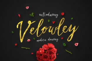 Velowley: The Elegant Script Font for Modern Branding