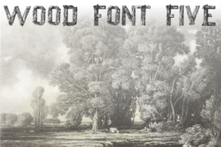 Wood Font Five Typeface for Nature Branding